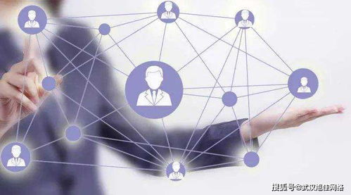 企業(yè)網(wǎng)站制作費用差異在哪里？深入解析互聯(lián)網(wǎng)上網(wǎng)服務的成本因素
